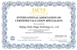 国际企业价值评估分析师协会的机构会员-心流